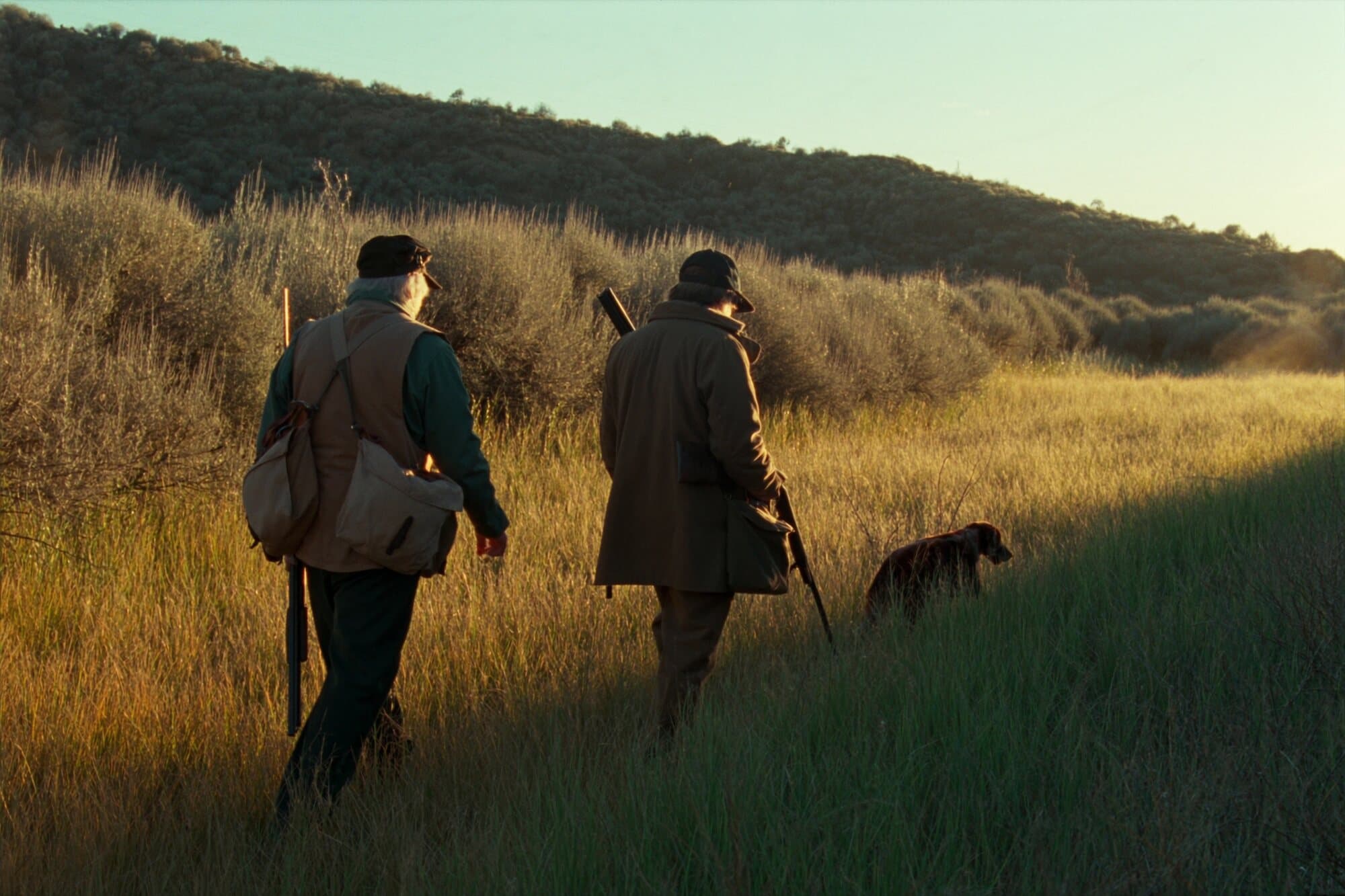 Two upland hunters and a setter working a sagebrush draw in the Western foothills at sunrise.